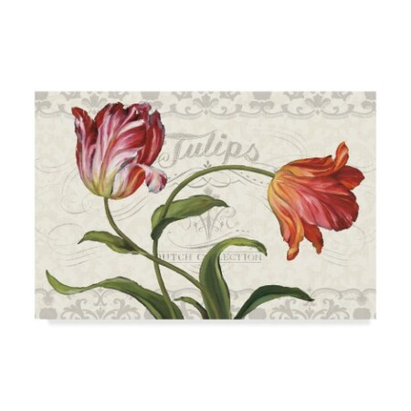 Trademark Fine Art Lisa Audit 'Tulipa Botanica I Cream' Canvas Art, 30x47 WAP04979-C3047GG